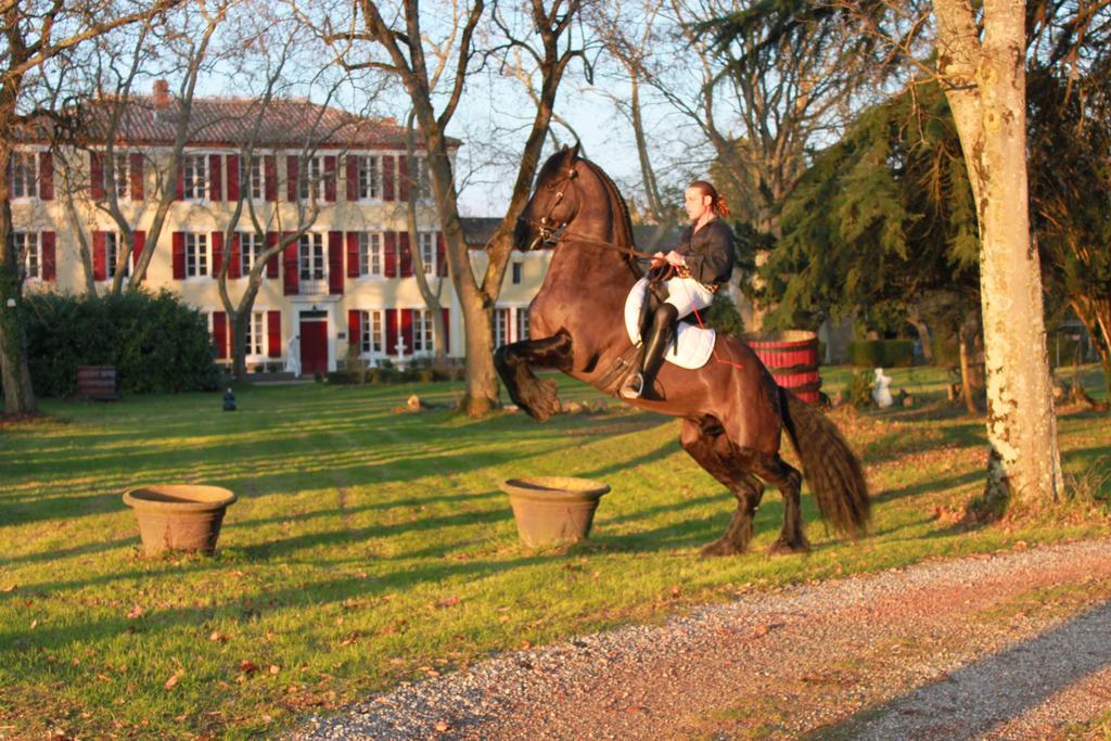 Le Relais Du Silence Chateau Lavail Labastide-dʼAnjou Exteriér fotografie